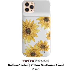 Casely iPhone charging cases (iPhone 11 Pro Max)